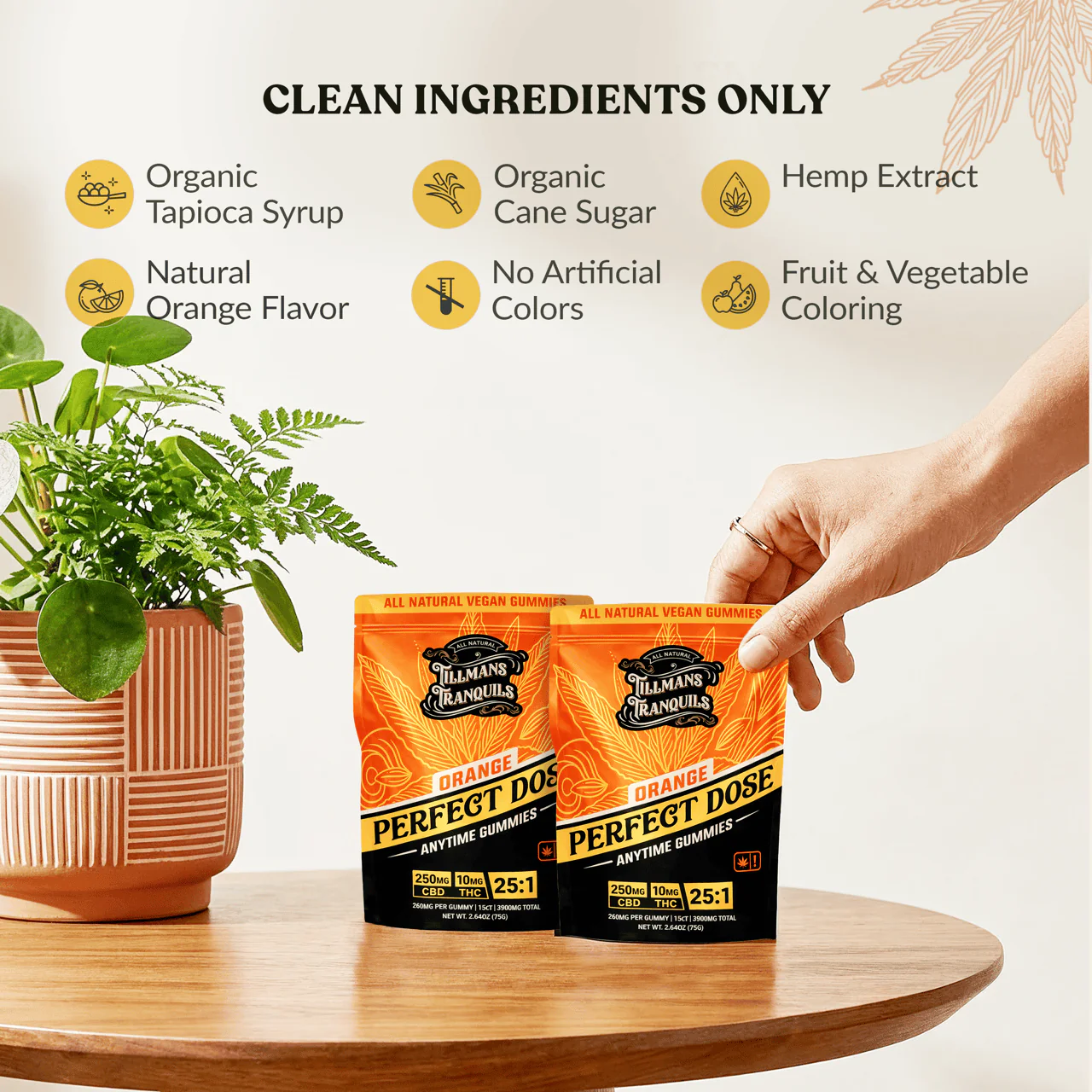 CBD Focus Gummies - Image 3